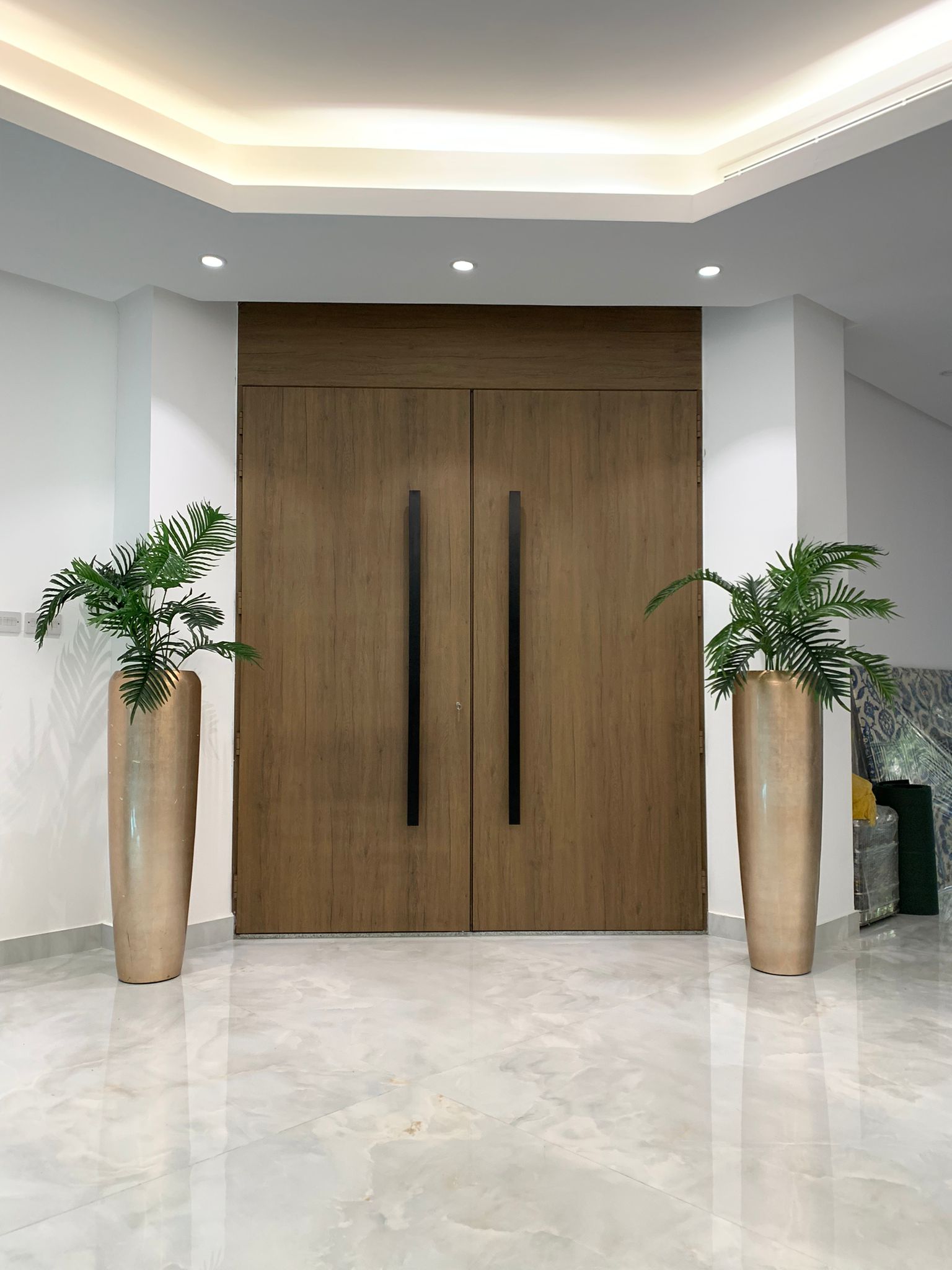 Door project
